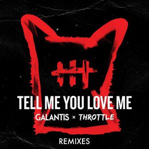 Tell Me You Love Me (Michael Feiner Remix) - Galantis & Throttle