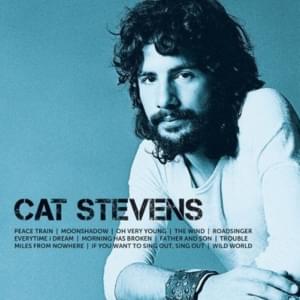 Roadsinger - Cat Stevens