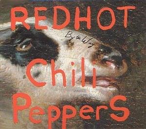 What Is Soul? (Live) - Red Hot Chili Peppers