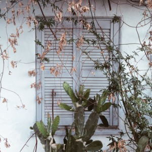 A House With An Old Cuckoo Clock - Flatsound