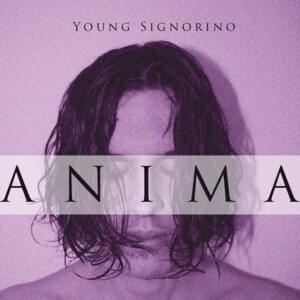 Anima - Young Signorino