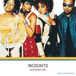 Did We Really Ever Try - Incognito