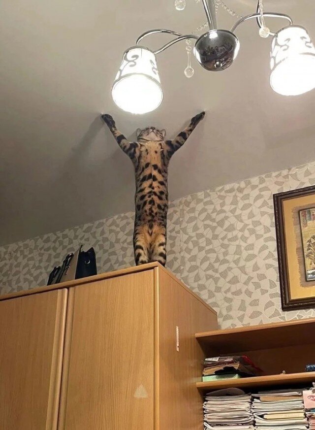 Новые прикольные фотографии и картинки