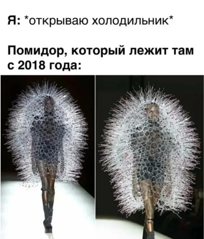 Самые новые приколы и юмор в Картинках для Хорошего Настроения