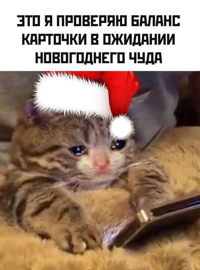Подборка позитивных картинок с каплей Юмора