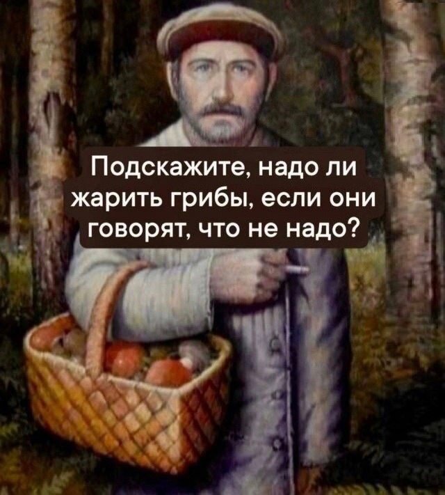 Свежие прикольные картинки для настроения