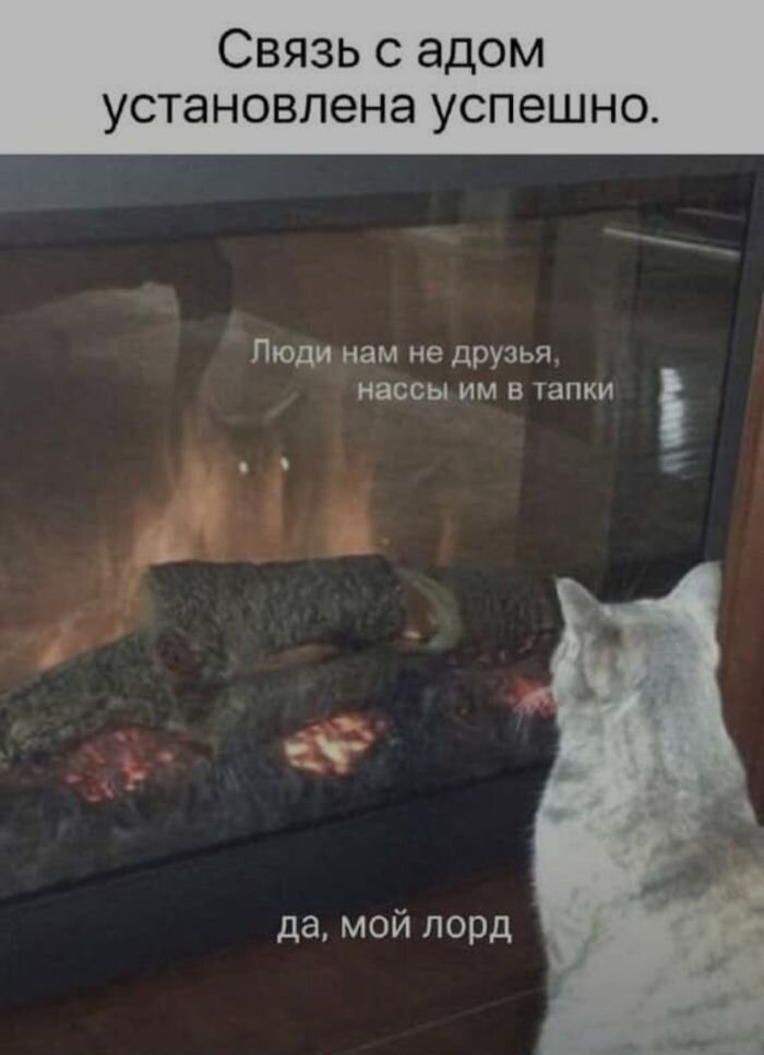 Самые смешные мемы на выходной