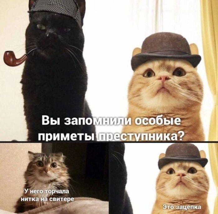 Сборник самых смешных Мемов для настроения