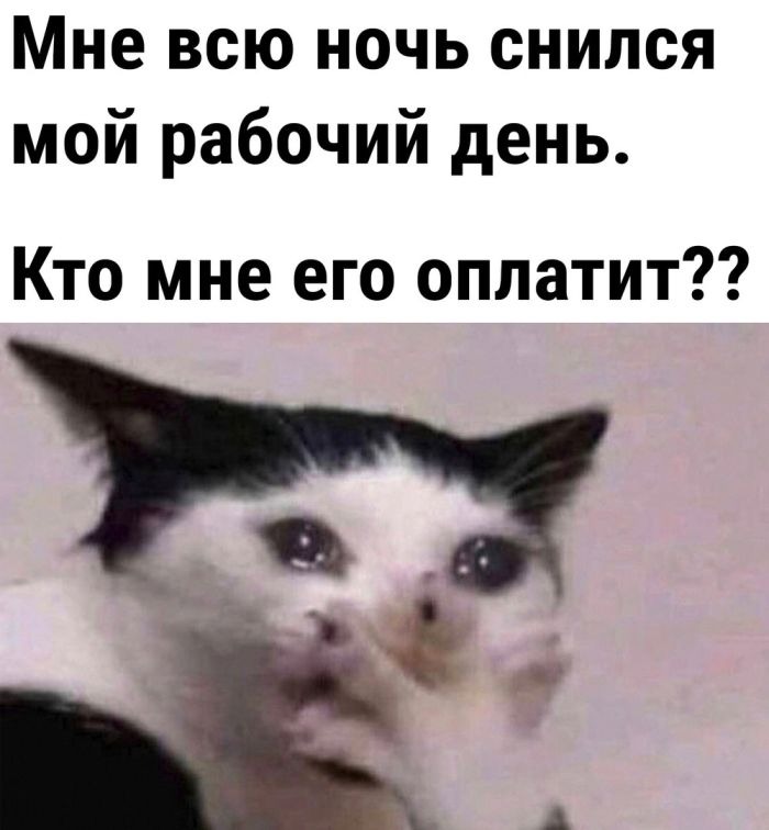 Смешные мемы под чашку кофе