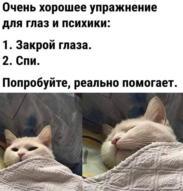 Большой сборник юмористических картинок с надписями