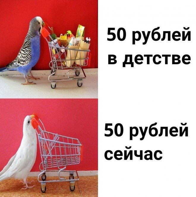 Фото приколы очень смешные