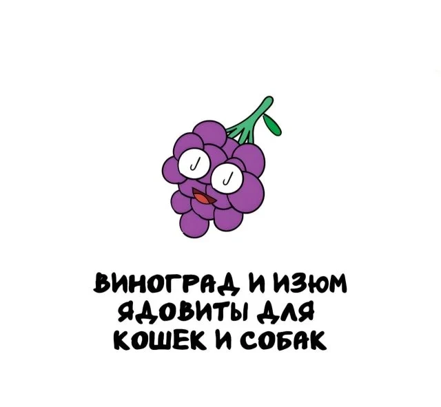 Фактология для жизни: от скуки до светской беседы