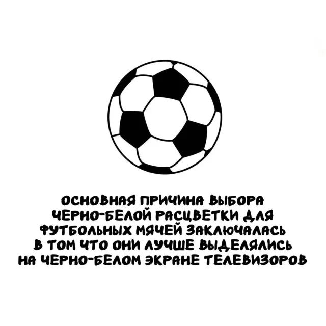 Подборка удивительных фактов обо всём на свете