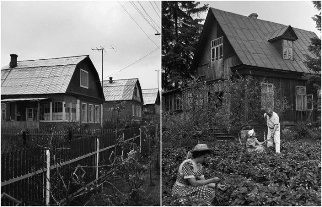 Почему в СССР дачные участки были именно по 6 соток