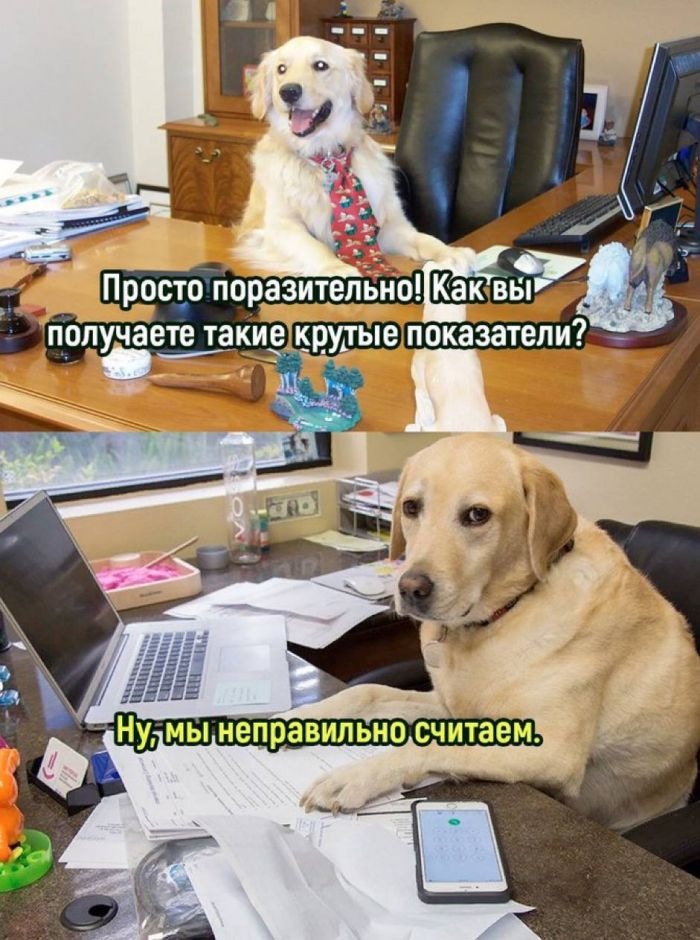 Свежие мемы, которые заставят вас смеяться до слез! 🔥