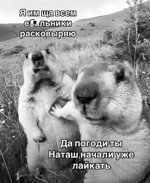 Пятница, ты ли это? 🎉 Зарядись позитивом по полной!