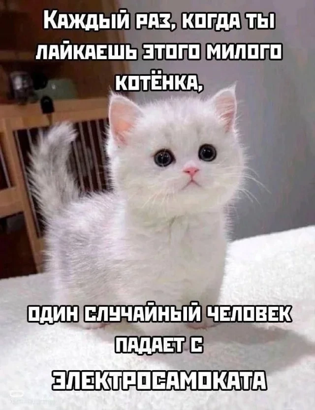 Мемы буднего дня #2