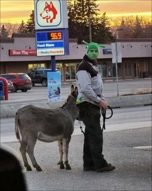 Подъехало всё вразнобой
