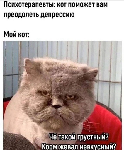 Маленькая пятница – время для смеха и позитива! 🎉