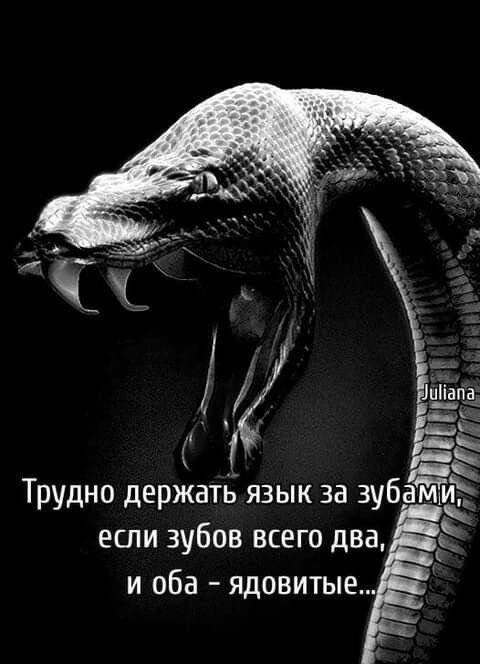 Пятница! Самый долгожданный день недели уже здесь, и мы готовы сделать его еще ярче! 🎉