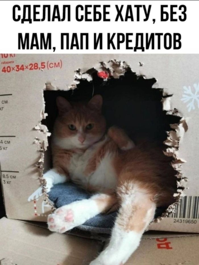 Маленькая пятница уже здесь! 🎉 Готовы поднять себе настроение?