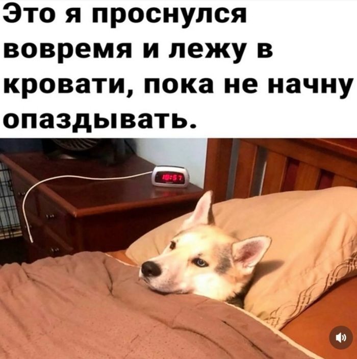 🌟 Добро пожаловать в мир свежих мемов и смешных комментариев! 🌟